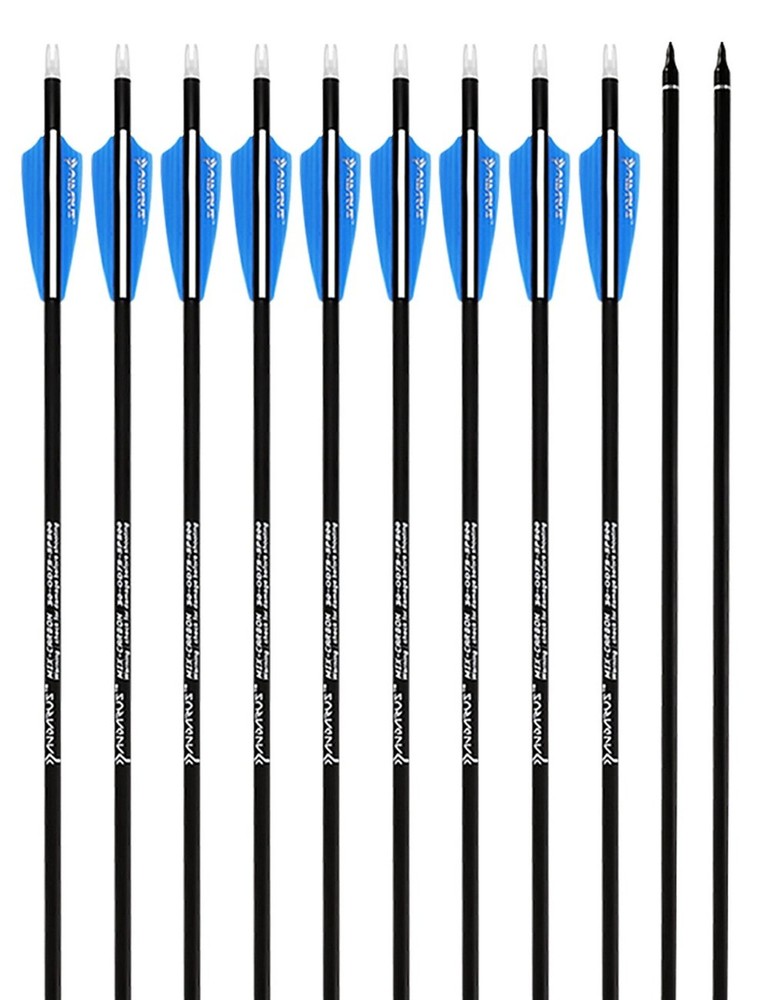 Archery 30Inch Carbon Practice Hunting Arrows with Removable for Youth Compou…
