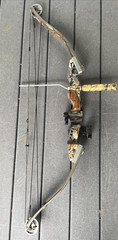 Alpine Archery Northwind Compound Bow with case