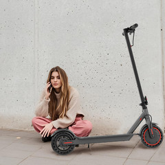 Ladped LP60 Electric Scooter Adult Folding 25KM/H EScooter 350W 8.5″ App Control