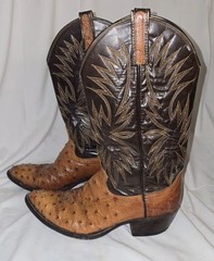 Vintage Dan Post Full Quill Ostrich Cowboy Western Boots Men’s Size 10D