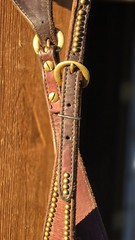 One Ear Slot Headstall Dark Oil with Brass Dots, Buckles and Conchos