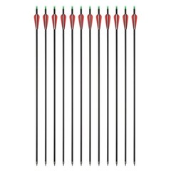 19-70lbs Adjustable Compound Bow Carbon Arrows Archery Shooting Hunting Target