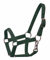 BLACK GREEN PINK PURPLE RED Nylon Adj Halter w Clip MINI Horse or PONY 5946