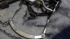 Vintage Leather One Ear Headstall Engraved Cricket Curb Bit Crockett Renalde