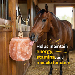 Himalayan Salt Lick Block with Rope 5-6 lb Multi Pack for Horses & Livestock