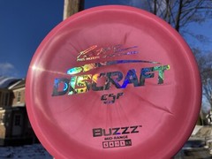 Discraft 5X Paul McBeth ESP Buzzz-Swirly Pink w Holographic Money Foil