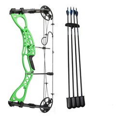 Archery 0-70lbs 33» Compound Bow Set Arrow 320fps Let-off 80% Target Shooting