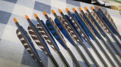 12 Carbon Express 300 Game Tracker Carbon Crossweave Arrows 28″ Feathers Nice!