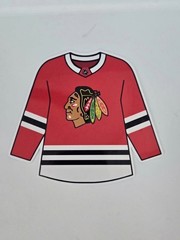 NHL Hockey Jersey Die Cut Stickers