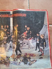 Vintage 1988 POWELL PERALTA BONES BRIGADE Team Skateboard Poster 2 SIDED Hawk