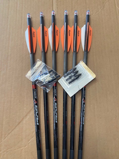 Lighted CROSSBOW BOLTS Victory Archery 20 in 6 Pack FREE MEATSEEKER BROADHEADS !