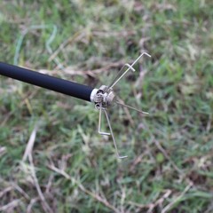 6/12Pcs Archery 100 grain Broadhead Hunting Small Animal Game Judo Arrow Points