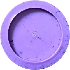 Dino Discs Tyrannosaurus – Egg Shell Plastic – Lightweight Driver For Kids