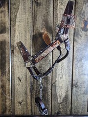 Silver Show Halter – Dark Oil – Silver & Copper Accents – Horse Size -Lead Shank