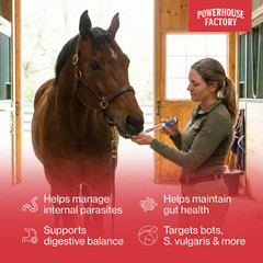 6 Pack In Box Paste Horse Dewormer Apple Flavor wormer horse Dewormer