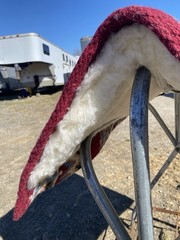 Burgundy w/blue, tan wool cutter style Western saddle pad w/fleece 32 X 34