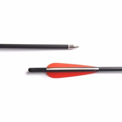12x 20 inch Carbon Crossbow Bolts OD 8.8mm Archery Arrows / 100 Grain Broadhead