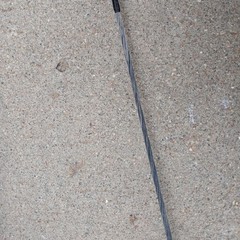 Martin Recurve Bow Archery Hunting