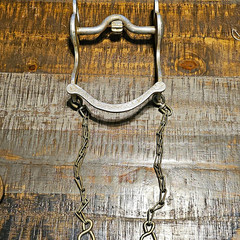 RENALDE 5 Inch Mouth Cricket Roller Horse Bit With Slobber Chains