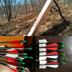 12Pack 30-inch Carbon Arrows SP500 Archery Hunting For Compound&Recurve Bow
