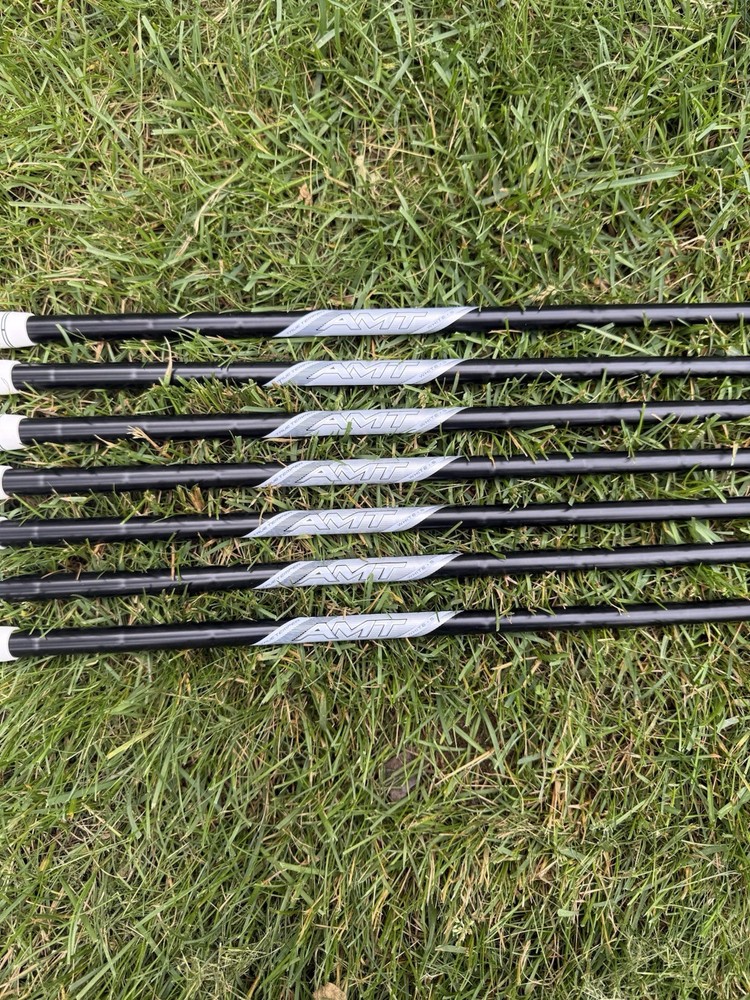 4-PW. New Never been hit True Temper .355 taper tip AMT S300 gunmetal shafts