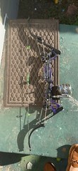 bowfishing bow