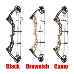Compound Bow 19-70lbs Adjustable Kit 320fps Archery RH Hunting Shooting Target