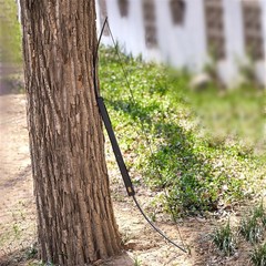 40/60lbs RH 60″ Archery Collapsible Bow Foldable Bow Recurve Bow Hunting Target