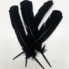 24Pcs Black Turkey Feathers 10~12in Long,Beautiful Feather for Crafts 26-31cm,Bu