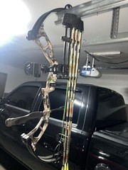 Bear Vast Compound Bow