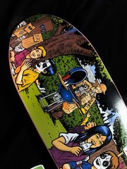 RARE SIGNED Paisley Skates Serial Party Sean Cliver Skateboard Deck AUTOGRAPHED