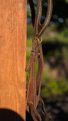 One Ear Slot Headstall Dark Oil with Brass Dots, Buckles and Conchos