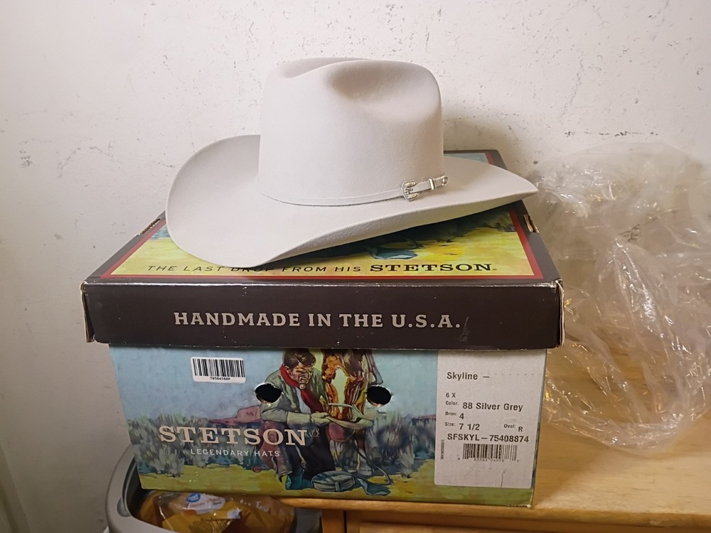 Stetson Skyline 6X 88 Silver Grey Western Hat Size 7 1/2 4″ Brim **EUC Clean!