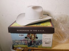 Stetson Skyline 6X 88 Silver Grey Western Hat Size 7 1/2 4″ Brim **EUC Clean!