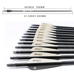 30″ Carbon Arrow Practice Hunting Arrows W/Tips For Compound,Recurve Bow Pack 12