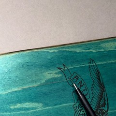 ANTI HERO RANEY BERES SKATEBOARD DECK 1st Pro Model Pigeon DLX 8.38 John Cardiel