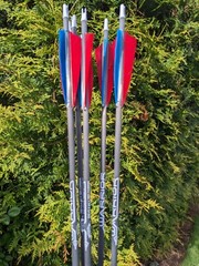 Gold Tip Warrior Carbon Arrows. 700, 600, 500, 400, 340, or 340. 6 Pack.