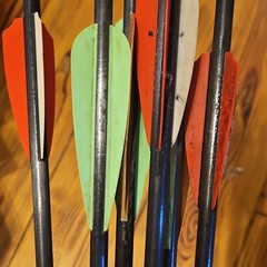 TenPoint Pro Elite 20in Carbon Omni-Nock Crossbow Arrows Black HEA-620.6