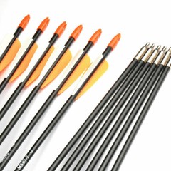 12Pcs 31inch Fiberglass Practice Arrows for Archery Target Shooting Recurve Bows