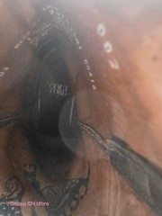Colt Ford Western Equestrian Boots Brown Star Design women’s Size 12
