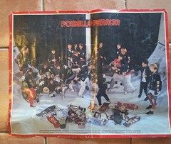 Vintage 1988 POWELL PERALTA BONES BRIGADE Team Skateboard Poster 2 SIDED Hawk