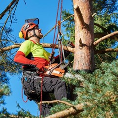 Arborist Rope 5/8in Climbing Rope 100ft Load Capacity Polyester Red