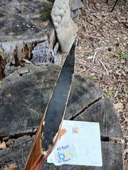 Vintage Ben Pearson Archery Javelina recurve 38#