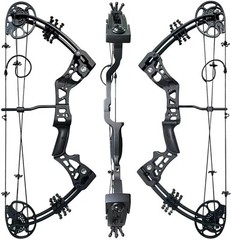 Compound Bow Set 15-45lbs for Pull Beginner and Teens Black Right Handed