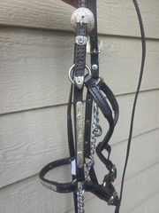 Black Leather Miniature Horse Western Show Halter & Lead – B size – BLUE stones