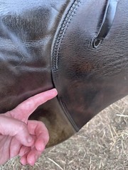 Stubben Romanus Dressage Saddle 17” MW