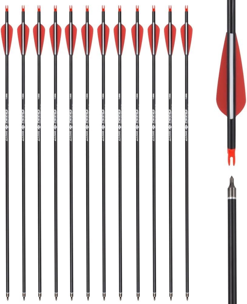 26 inch Carbon Arrow Hunting Arrows with 100 Grain Removable Tips for Archery…