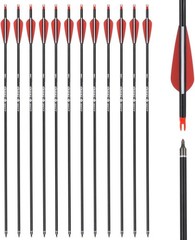 26 inch Carbon Arrow Hunting Arrows with 100 Grain Removable Tips for Archery…