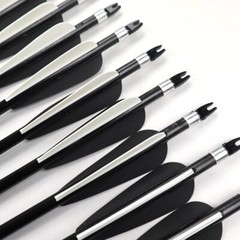 12Pcs Archery 30″ Fiberglass Arrows Spine 500 OD 8mm For Compound Recurve Bow