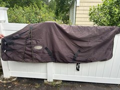 Grey Shedrow Medium Turnout blanket 82”
